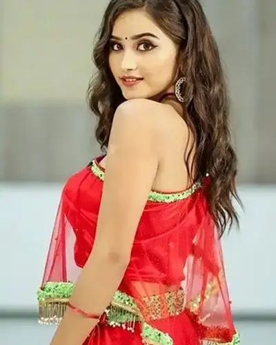 Call Girls Service Bassi
